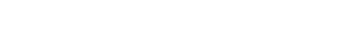 Профлидер
